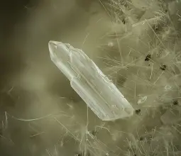 Экерит