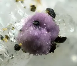 каскандит