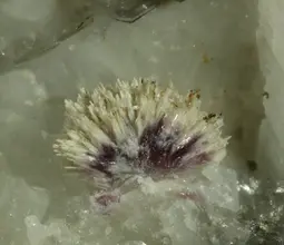каскандит
