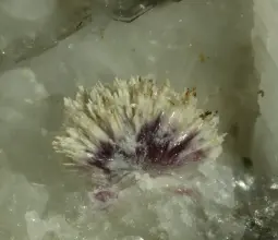 каскандит