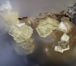 бенякарит