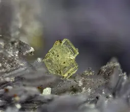 бенякарит