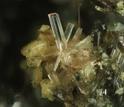 бенякарит