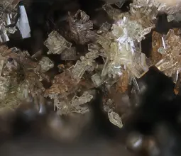 бенякарит