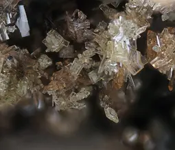 бенякарит