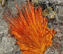 лудлокит