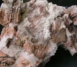 нашатырь