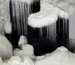 шерл
