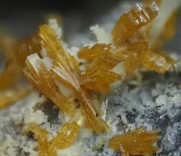 парсонсит