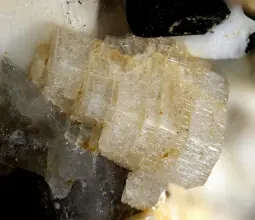 цектцерит