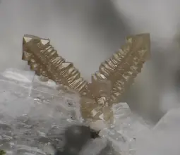 циркон, zircon