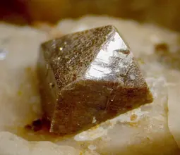 циркон, zircon