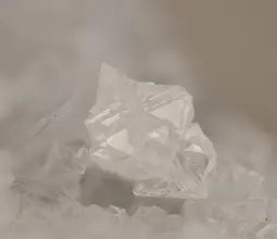 амичит