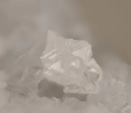 амичит