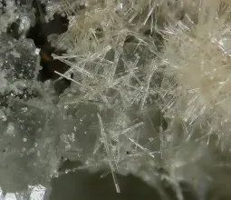 Римкорольгит