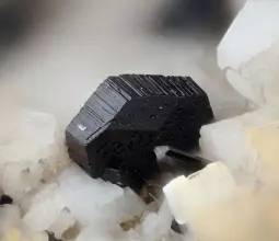 катофорит