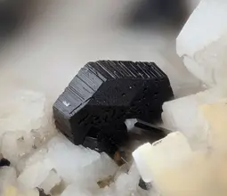катофорит