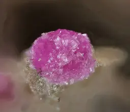 Коритнигит