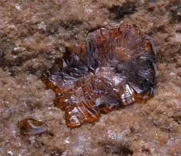 иранит, iranite