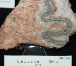 сильвин