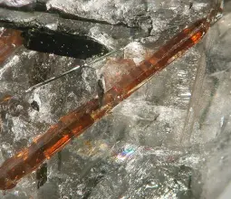 щербаковит