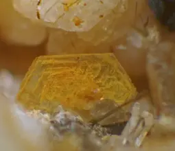 мусковит