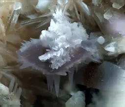 мусковит